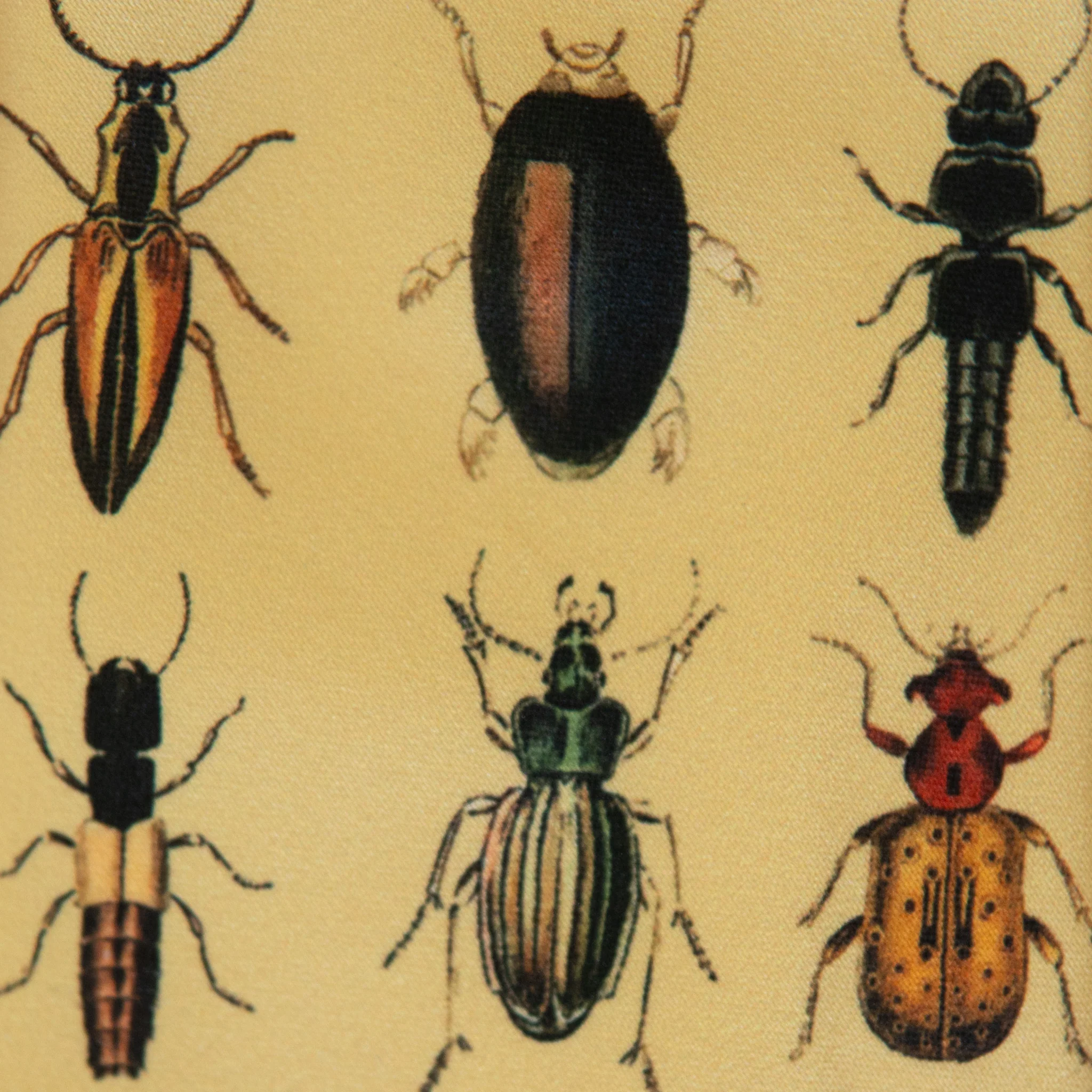 Bug Collection Boys Tie - Image 3