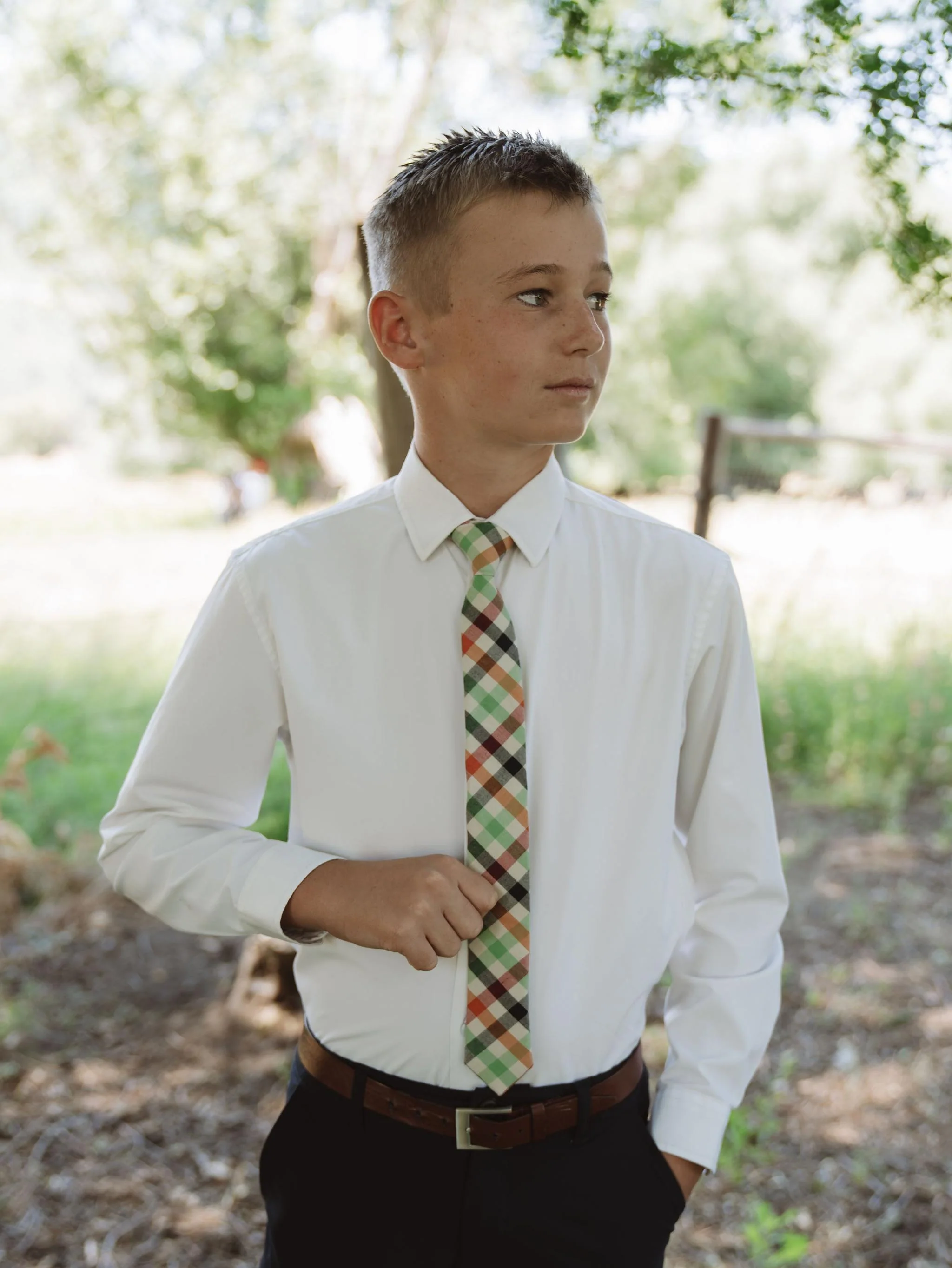 Harvey Boys Tie - Image 5