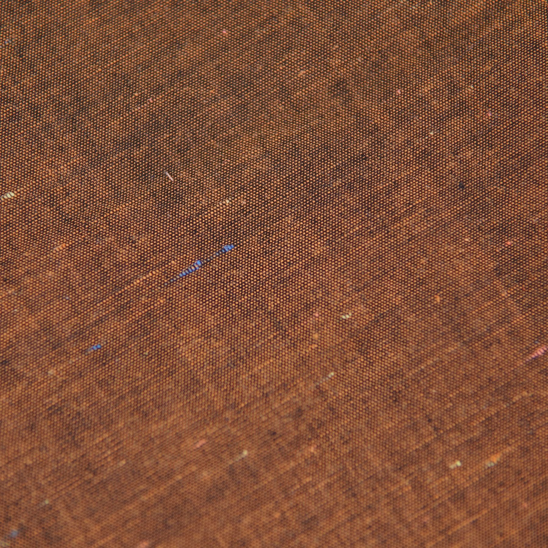 Lucky Penny - Lady Hair Bow - Image 2