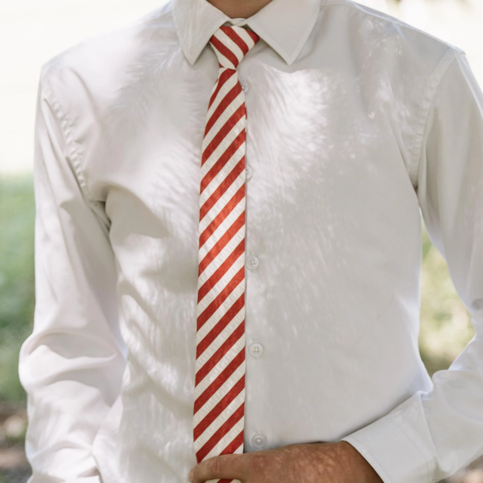Scarlet Stripe Men's Tie - Image 3