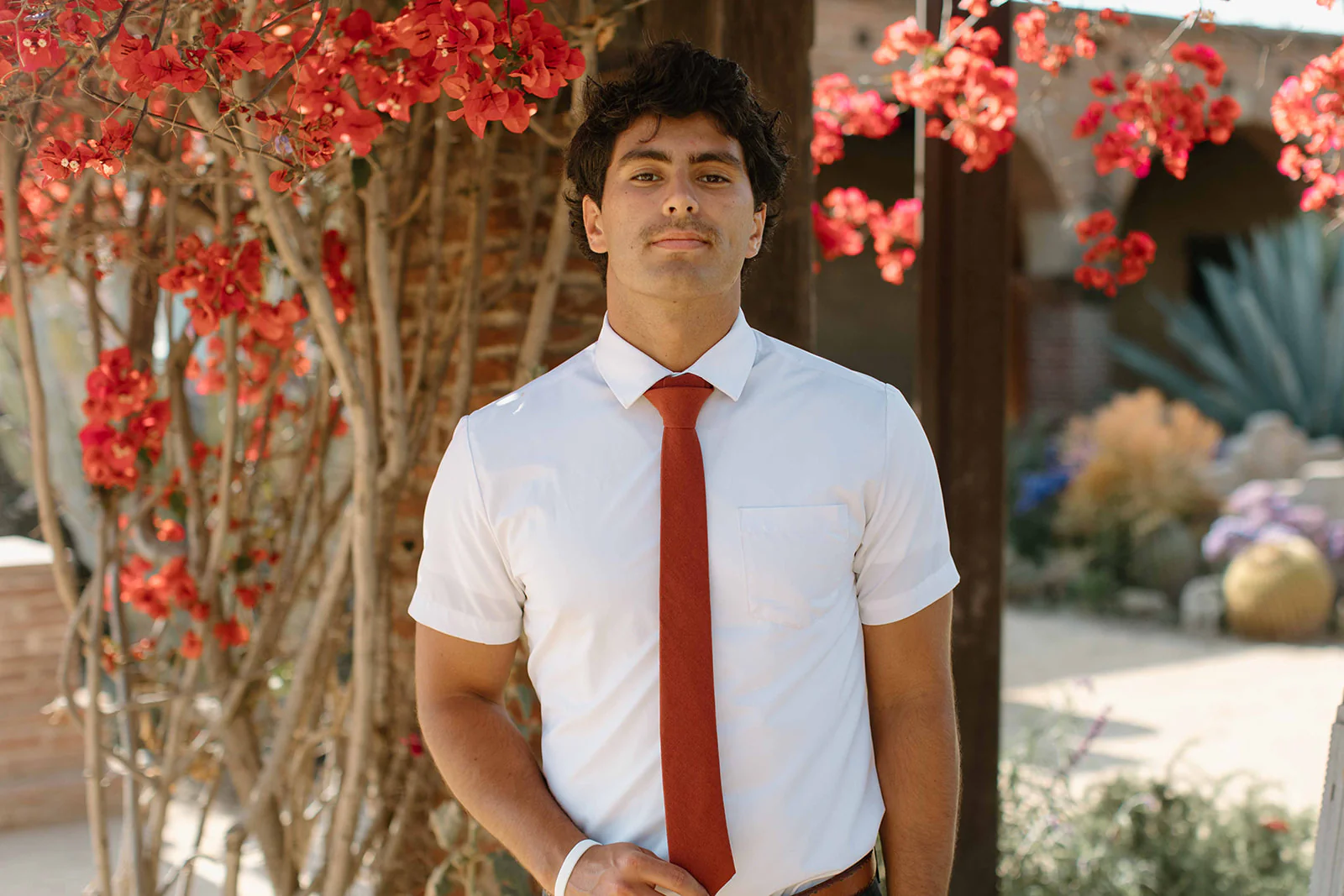 Sienna Men's Tie - Image 6
